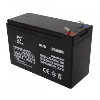 BEM BEM-1290 Acumulator pentru pompele de stropit electrice 12V/8A