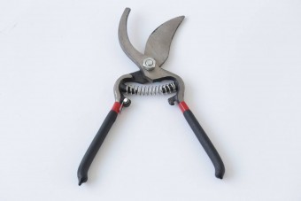 Micul Fermier GF-1282 Foarfec vie nr.10 PRUNNER (6pcs)