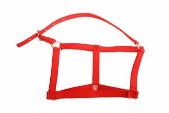 Micul Fermier GF-1370 Capastru cal din banda P