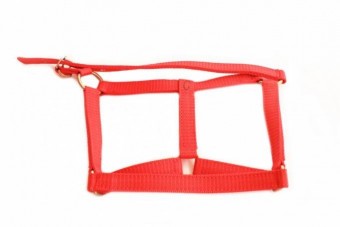 Micul Fermier GF-1505 Capastru cal din banda 3