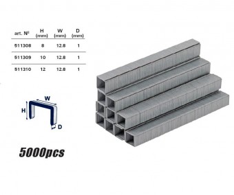 Set capse pentru pistol pneumatic RD-AS01 12x12,8x1mm, Raider 511310