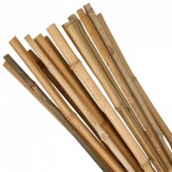 Strend Pro sk-2210158 Set 10 araci din bambus Strend Pro KBT 1500/14-16 mm