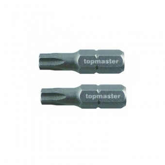 topmaster 330358 Set 2 biti torx Topmaster 330358, T25, prindere hexagon 1/4, magnetici