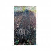 FLO 89770 Tunel negru pentru protectia plantelor 300x45x45 cm
