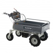 GeoTech 108519 Carucior electric Blackstone BS-Car, putere 1000W, 4 x baterii 12V, 25Ah, 500Kg, 2 viteze