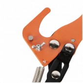 Micul Fermier GF-0425 Set foarfeca pentru taiat crengi la inaltime (katze)