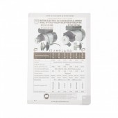 Micul Fermier GF-1544 Motor electric 2800RPM 2.2KW cu carcasa de AL MF