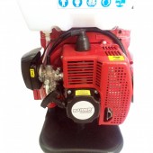 Raider 98101 Atomizor cu motor si pompa booster Raider RD-KMD02, rezervor 14L, inaltime pulverizare 10m, 3 CP