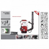 Raider 98101 Atomizor cu motor si pompa booster Raider RD-KMD02, rezervor 14L, inaltime pulverizare 10m, 3 CP