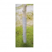 Strend Pro SK-2110279 Set protectie tulpina pomi Strend Pro GreenGarden Guardian, 3 buc, 60 cm, verde