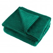 Teesa LEC-TSA8902-2 Patura fleece polar 200x220cm verde teesa