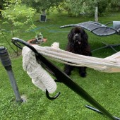 VivaTechnix VMD-1013/ Suport pentru hamac, VivaTechnix VMD-1013, max. 120 KG